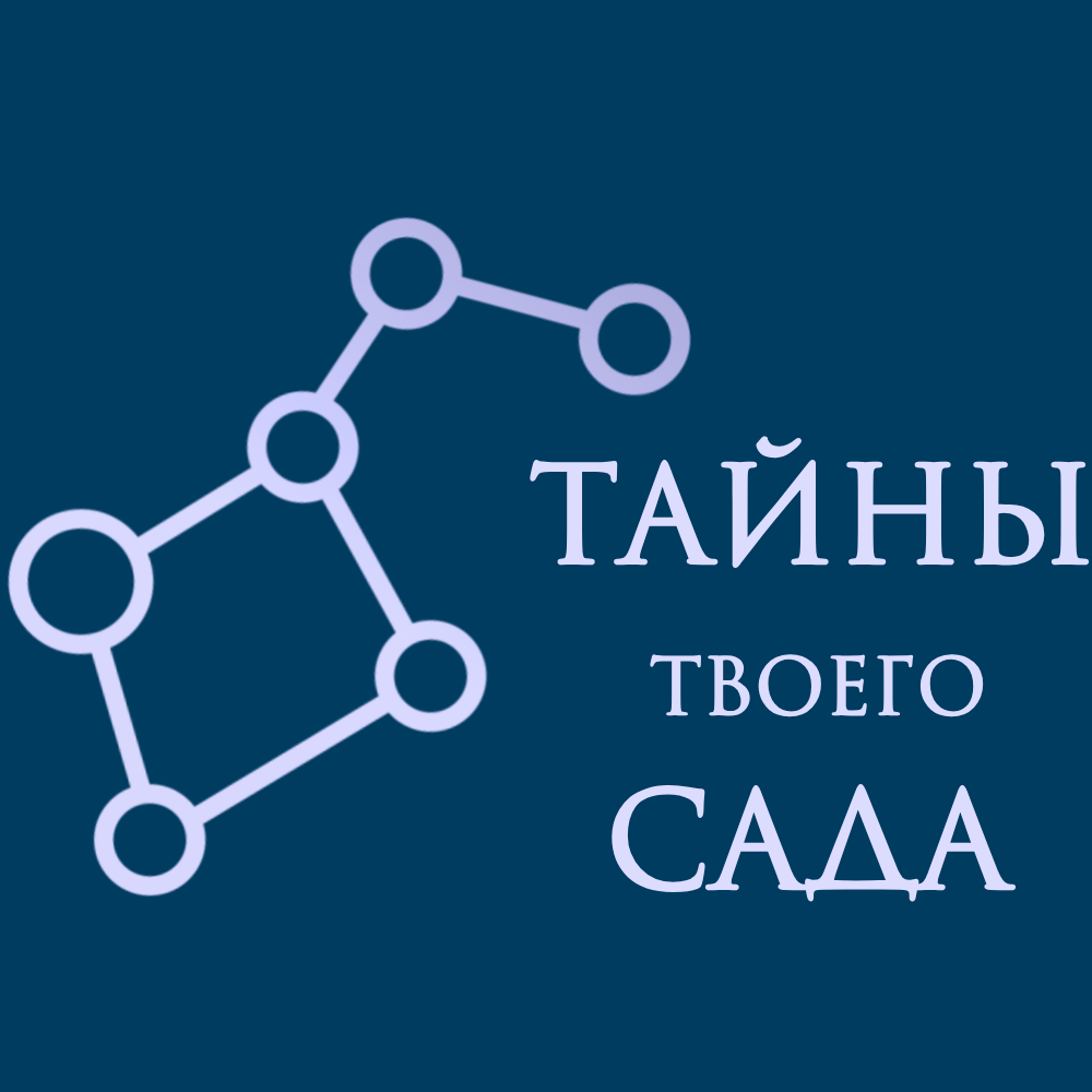  СОЗВЕЗДИЕ ЛЬВА 